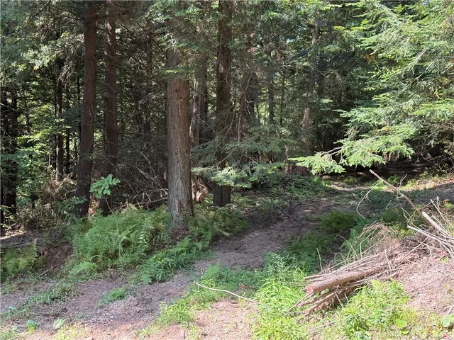 $79,900 | 0 Alma Hill Road, Alma, NY 14708