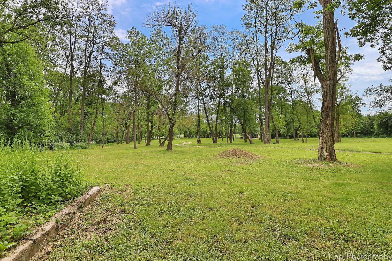 157 J Helm Road Barrington Hills, IL 60010 - Photo 41 of 48 Gallery Image 41