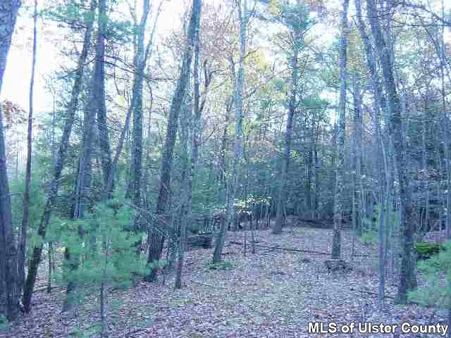0 High Rocks Road Glenford, NY 12433 - Photo 3 of 3 Photo 4