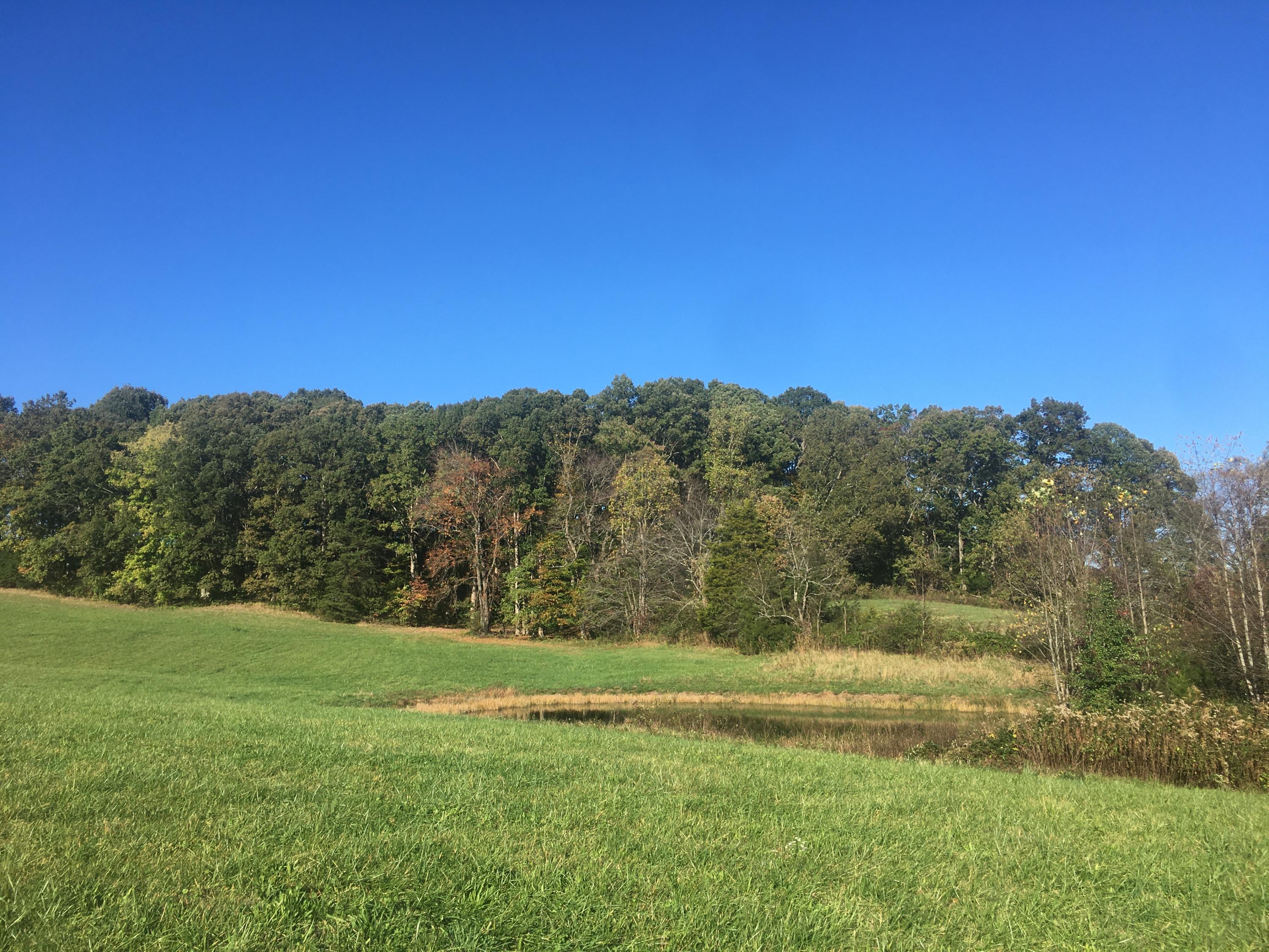 Tbd Pritchard Road Limestone, TN 37681 - Photo 35 of 43 IMG_3001