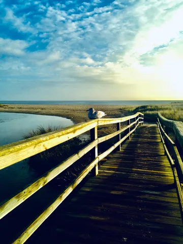 $399,000 | 0 Evergreen Lane, Chatham, MA 02633