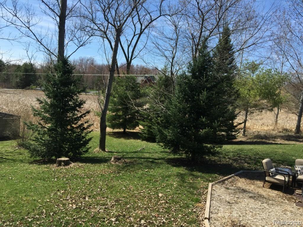 2659 Byron Road Howell, MI 48855 - Photo 43 of 45 Awesome pines for seclusion