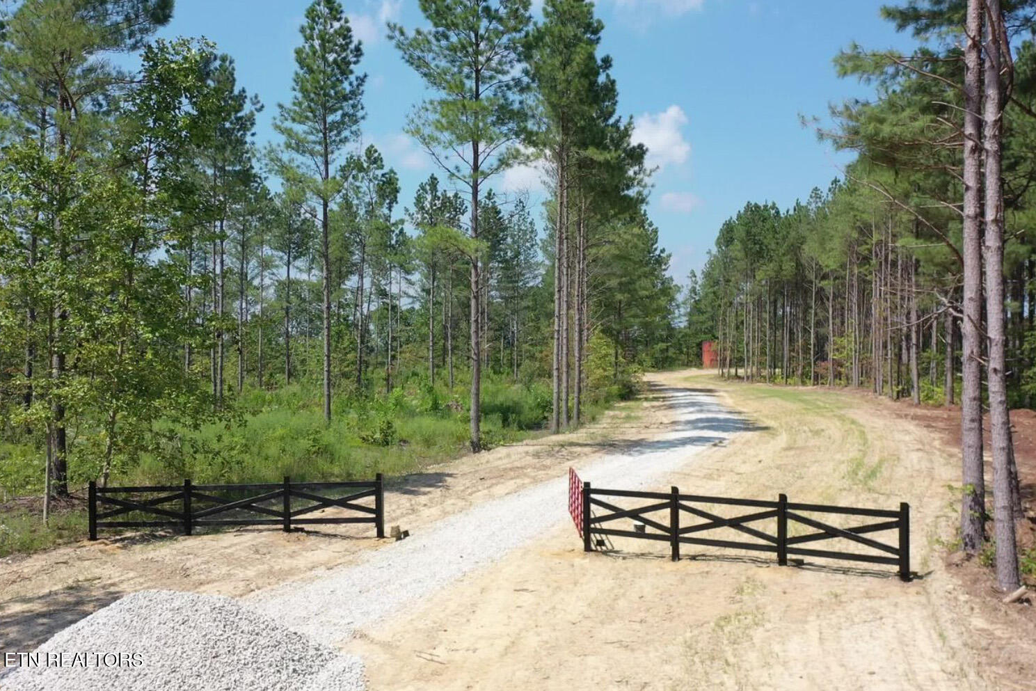 Davis Road Sunbright, TN 37872 - Photo 11 of 11 Tract 8 GM (12) copy