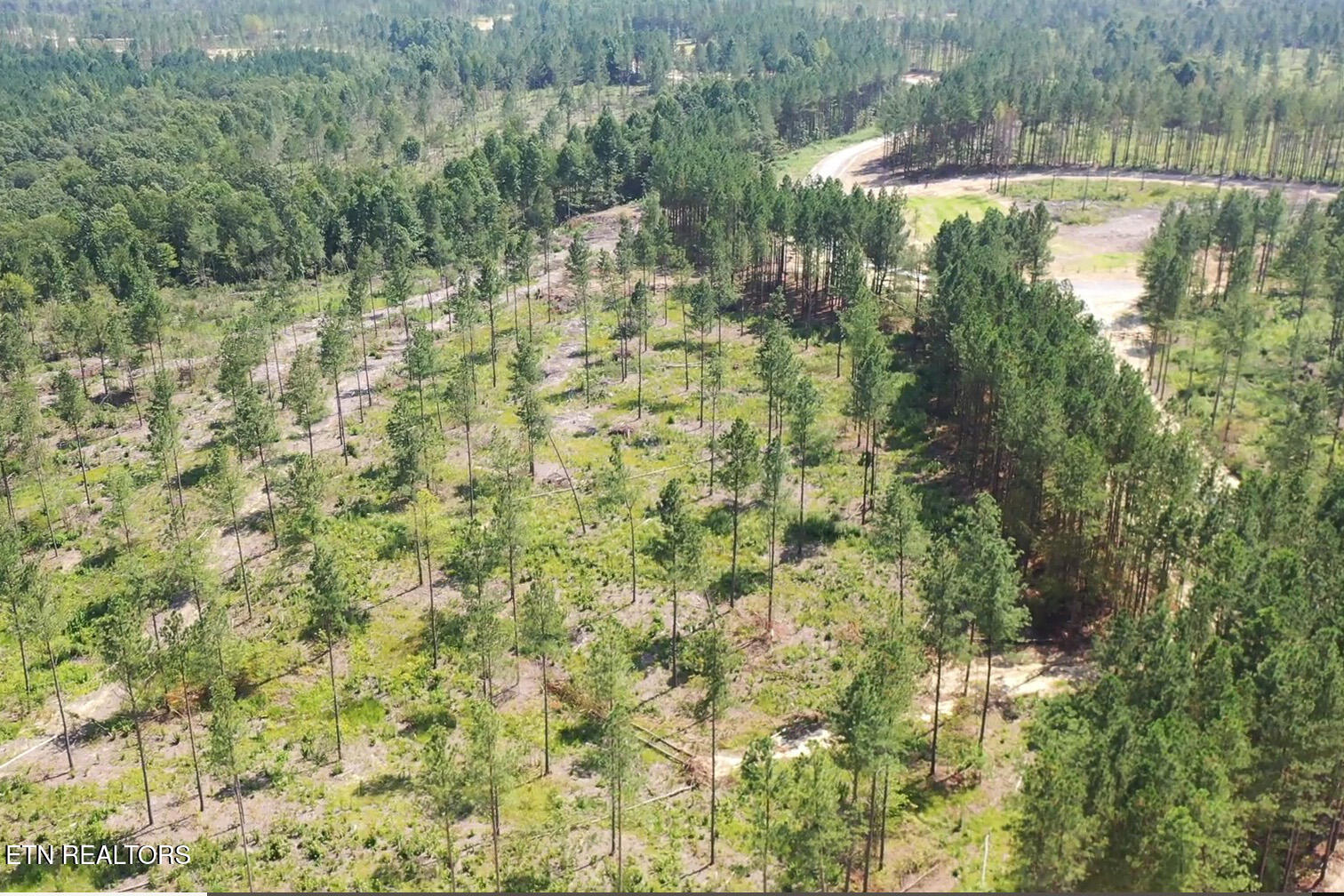 Huffman Road Sunbright, TN 37872 - Photo 13 of 44 Tract 8 GM (7) copy