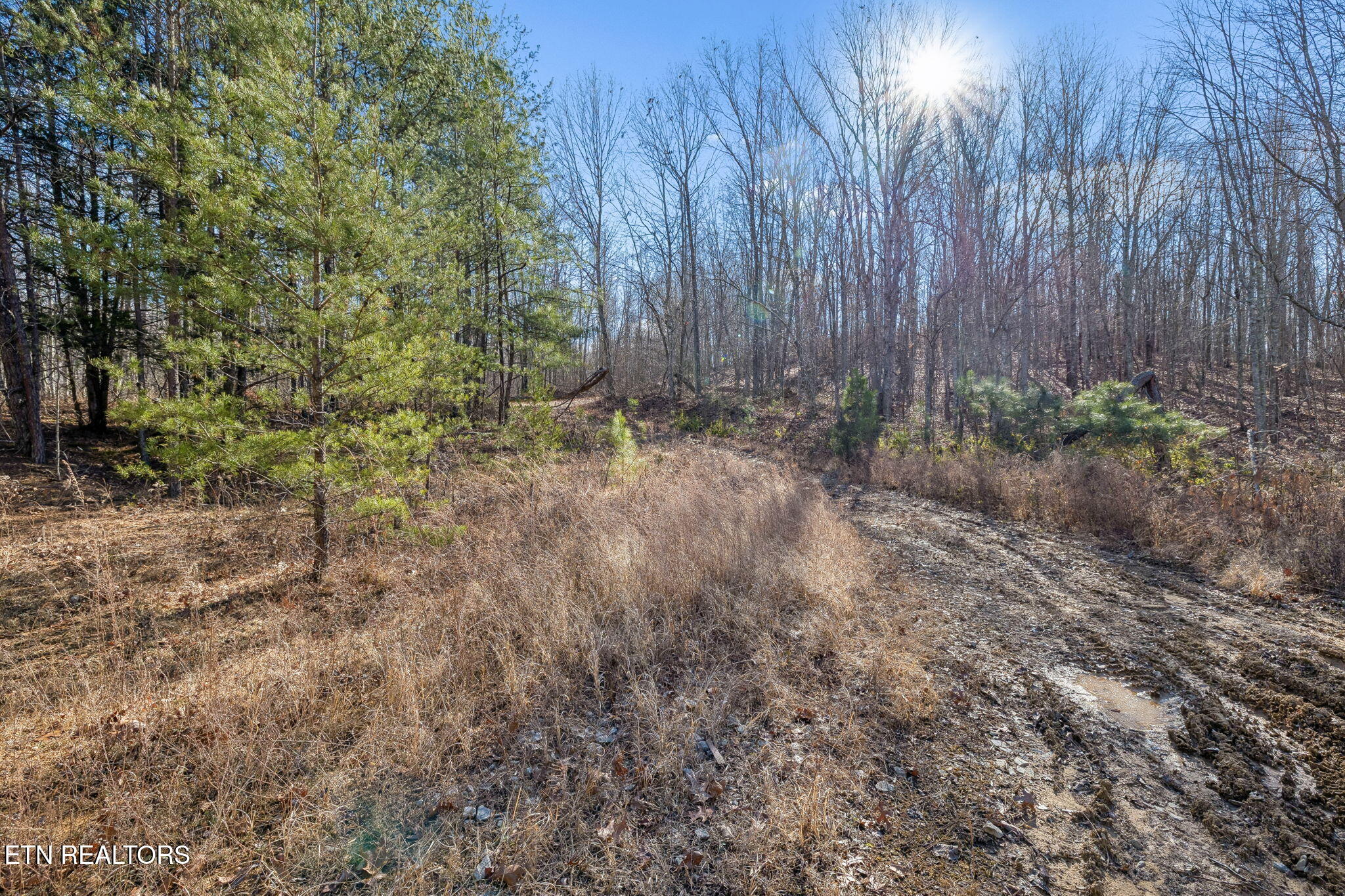 Huffman Road Sunbright, TN 37872 - Photo 15 of 44 12-Grassy Mountain - 012