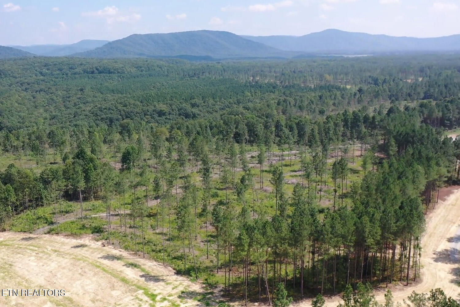 Huffman Road Sunbright, TN 37872 - Photo 18 of 44 Tract 8 GM (11) copy