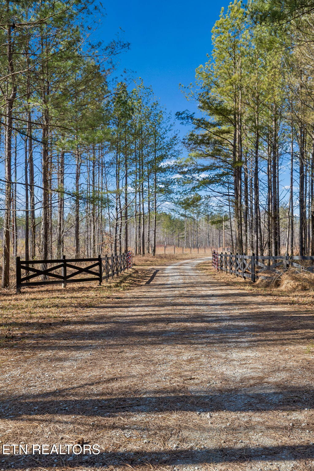 Huffman Road Sunbright, TN 37872 - Photo 19 of 44 2-Grassy Mountain - 002