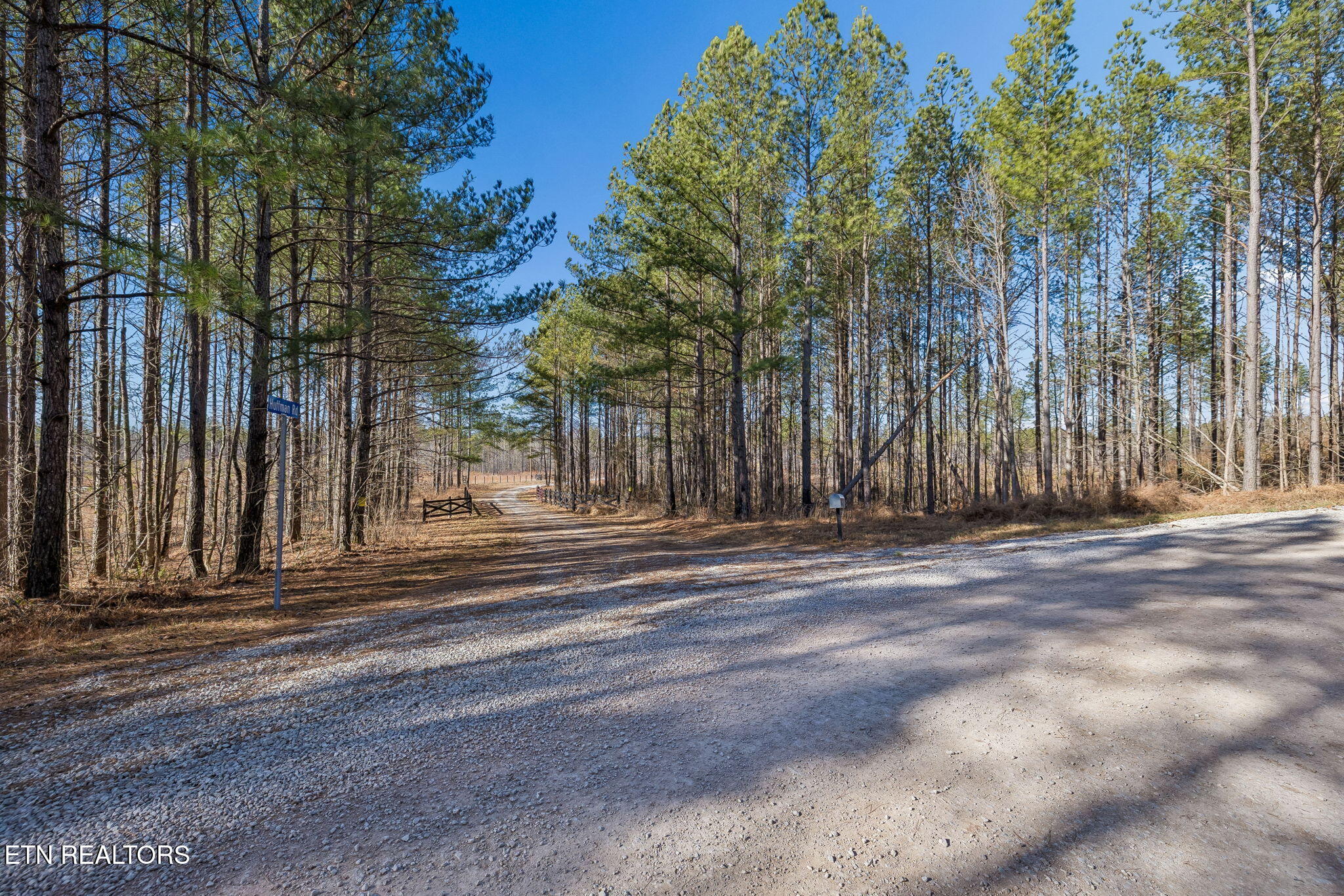 Huffman Road Sunbright, TN 37872 - Photo 20 of 44 3-Grassy Mountain - 003
