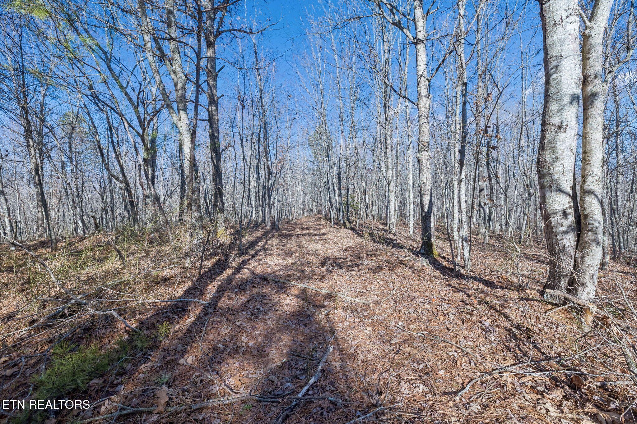 Huffman Road Sunbright, TN 37872 - Photo 22 of 44 8-Grassy Mountain - 008