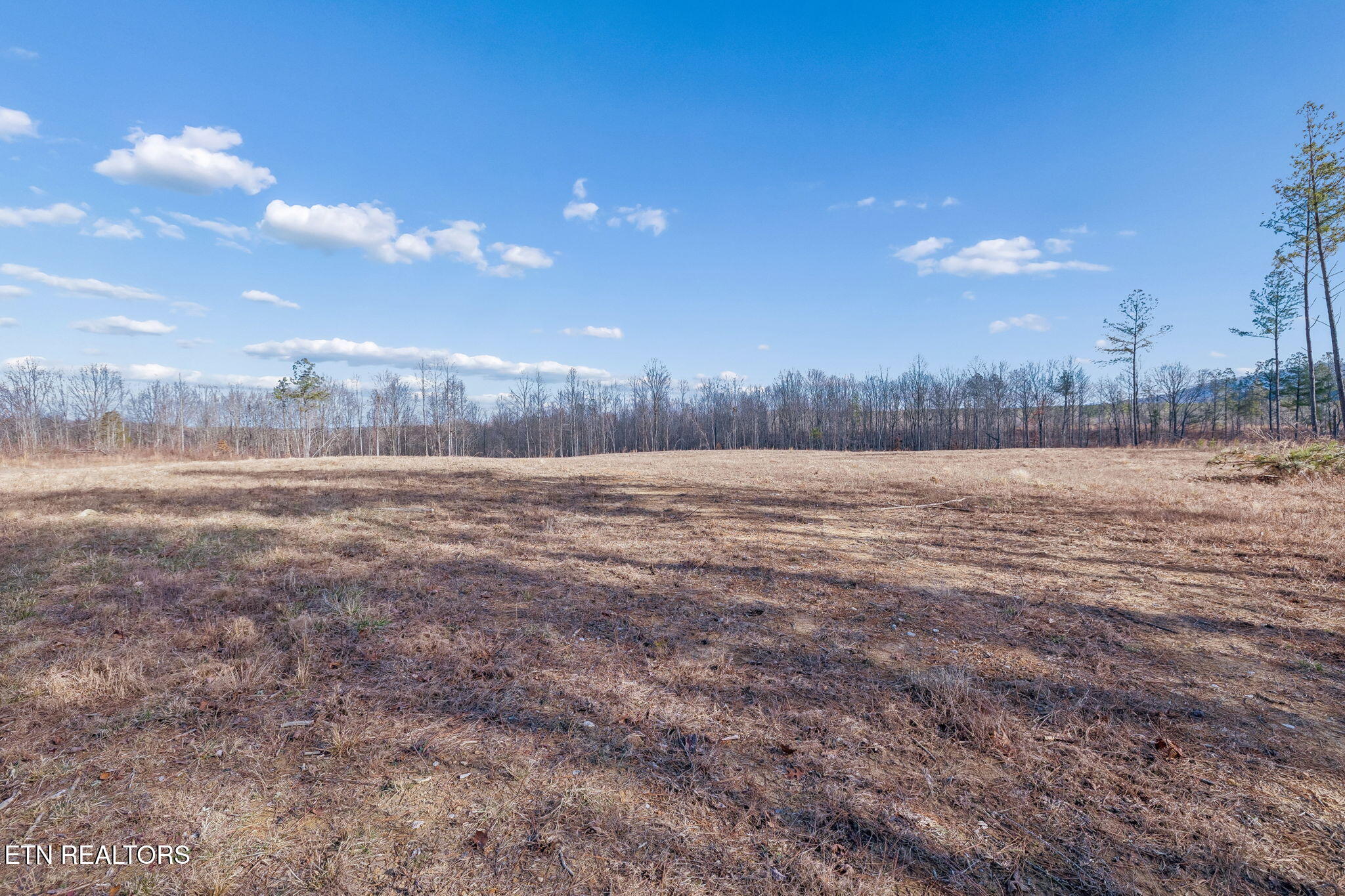 Huffman Road Sunbright, TN 37872 - Photo 23 of 44 9-Grassy Mountain - 009