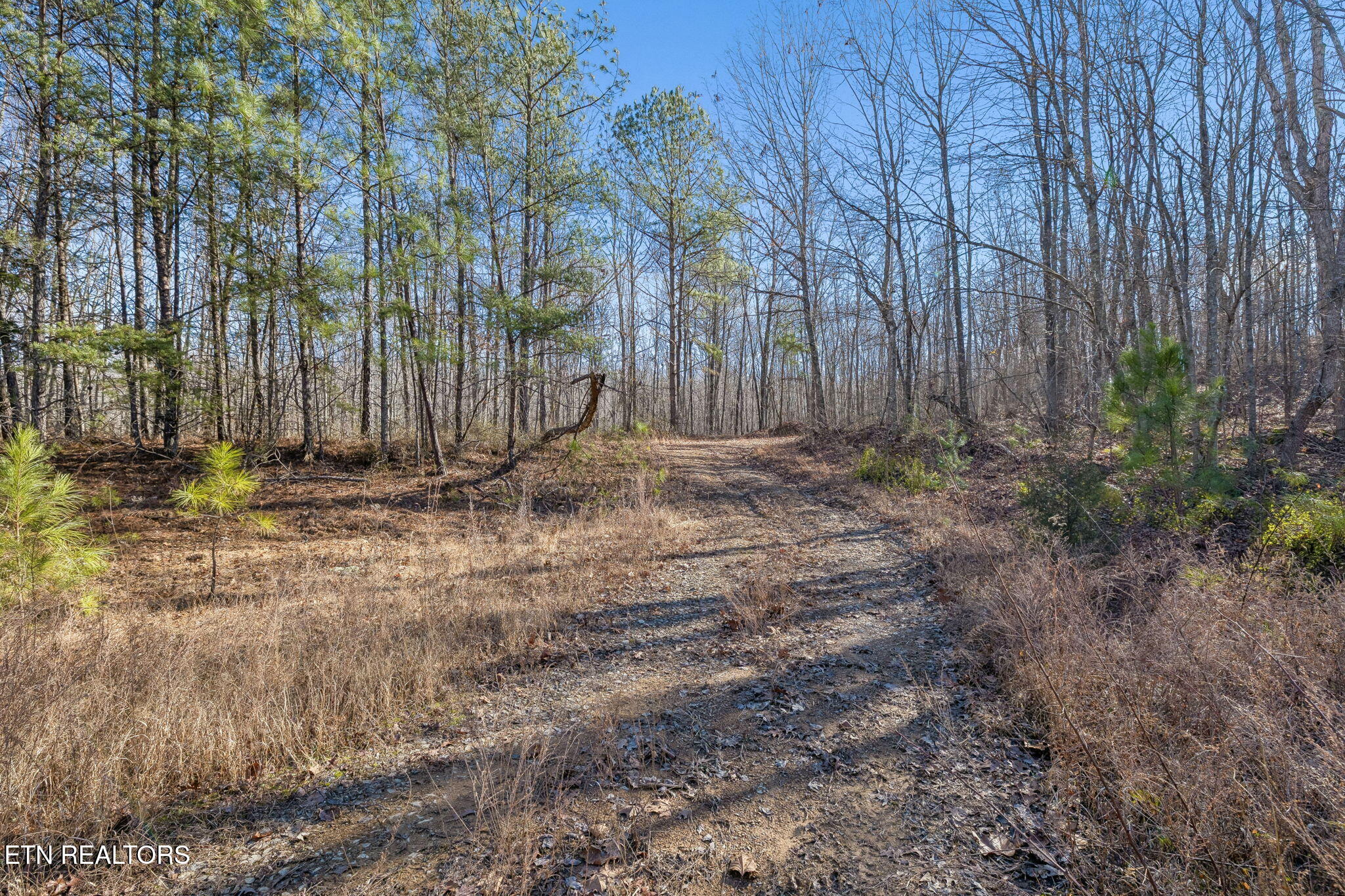 Huffman Road Sunbright, TN 37872 - Photo 25 of 44 13-Grassy Mountain - 013