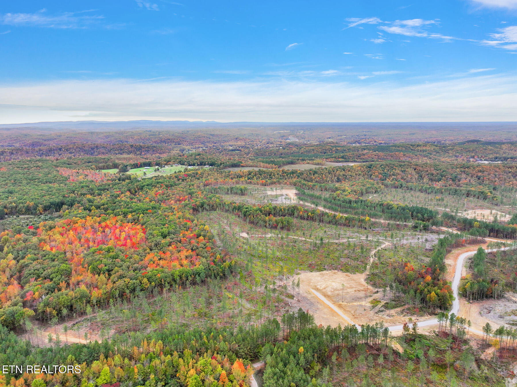 Davis Road Sunbright, TN 37872 - Photo 3 of 11 15-GrassyMountain_20231017164647_0401_D