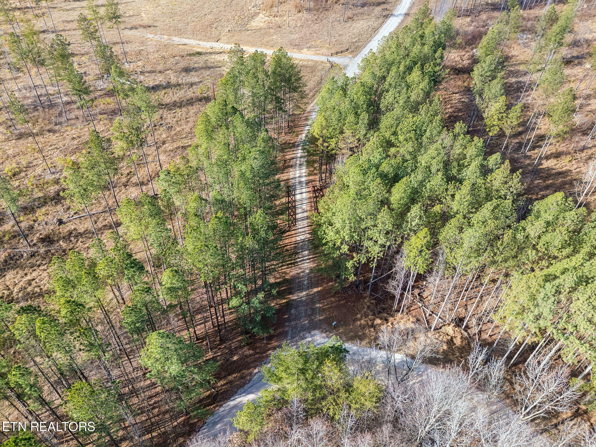 Huffman Road Sunbright, TN 37872 - Photo 33 of 44 22-Grassy Mountain - 022