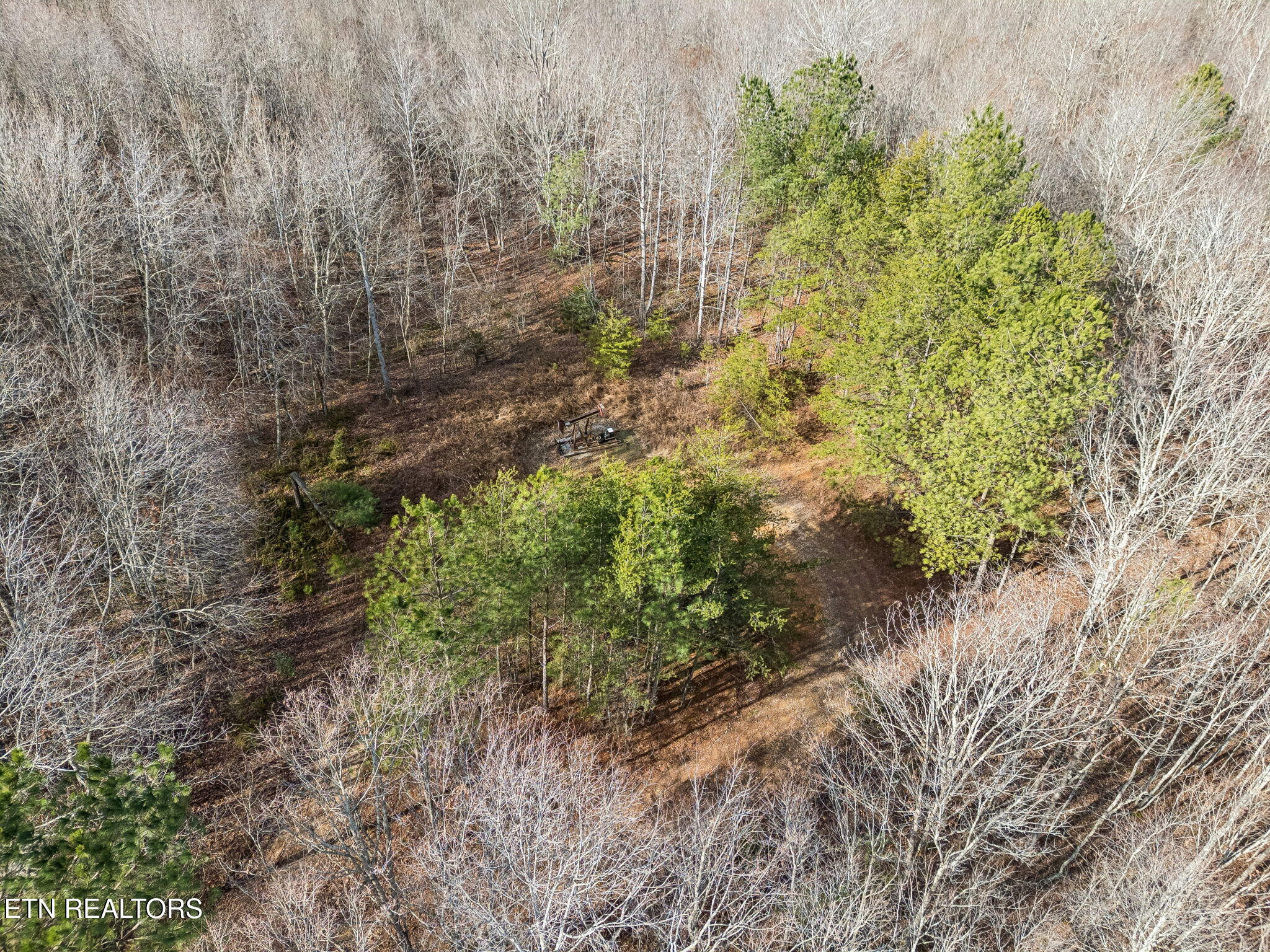 Huffman Road Sunbright, TN 37872 - Photo 34 of 44 23-Grassy Mountain - 023