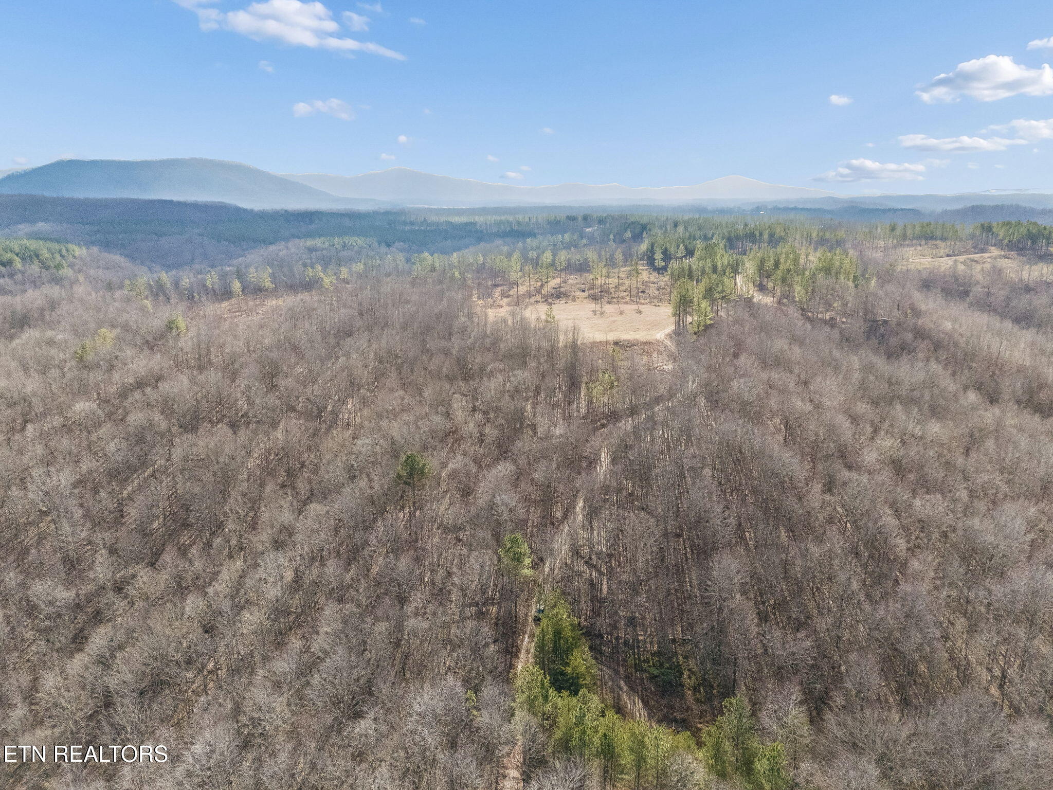 Huffman Road Sunbright, TN 37872 - Photo 36 of 44 25-Grassy Mountain - 025