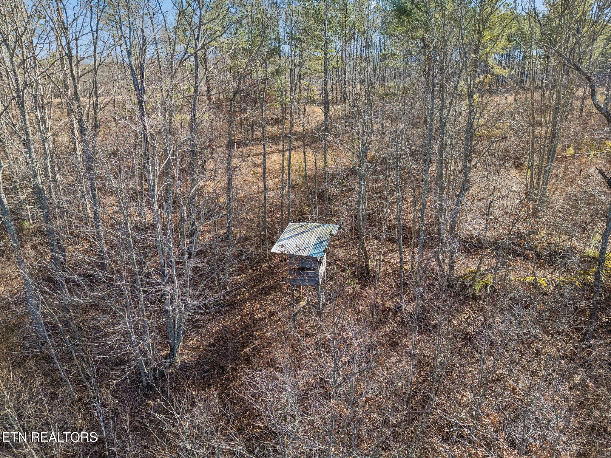 Huffman Road Sunbright, TN 37872 - Photo 38 of 44 28-Grassy Mountain - 028