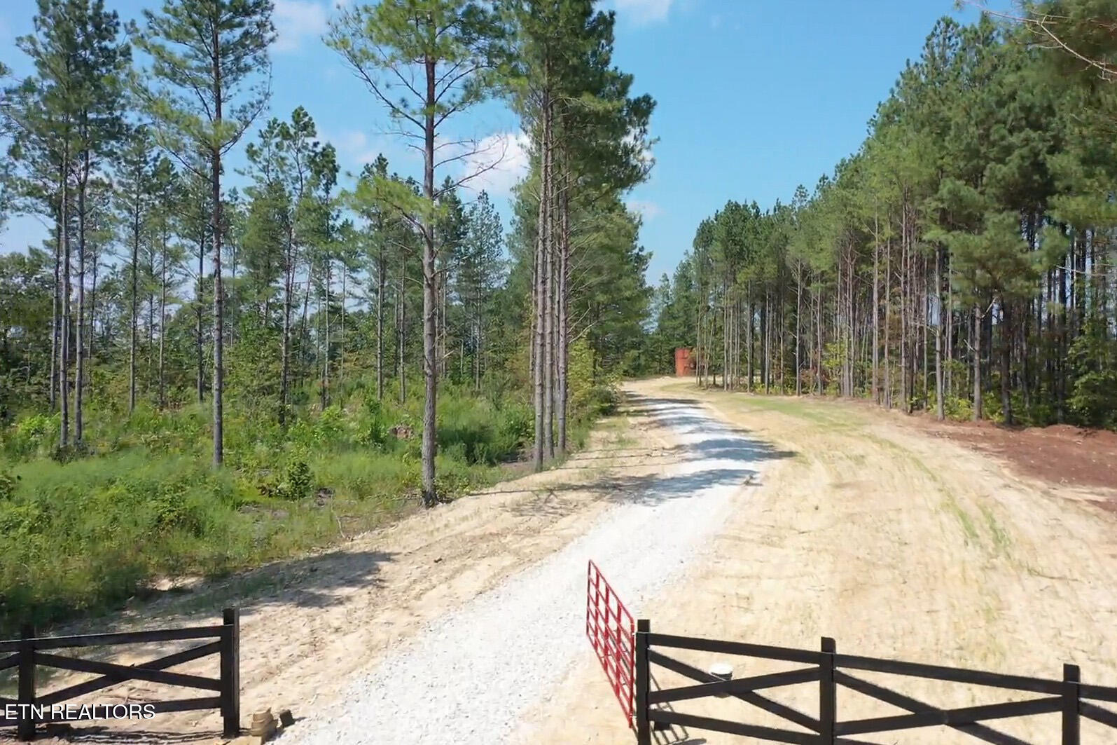 Davis Road Sunbright, TN 37872 - Photo 4 of 11 Tract 8 GM (2) copy