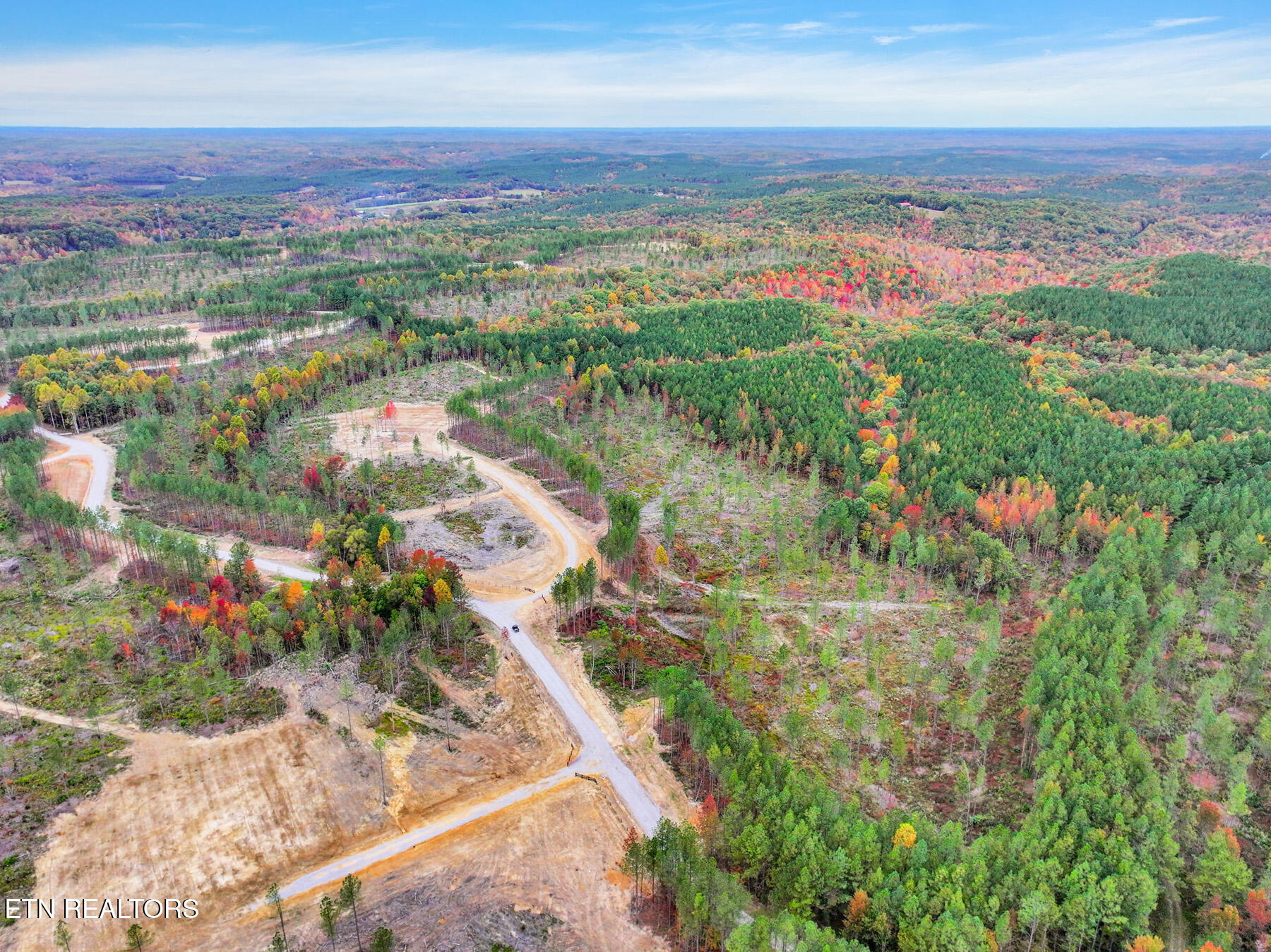 Huffman Road Sunbright, TN 37872 - Photo 4 of 44 12-GrassyMountain_20231017164929_0317_D