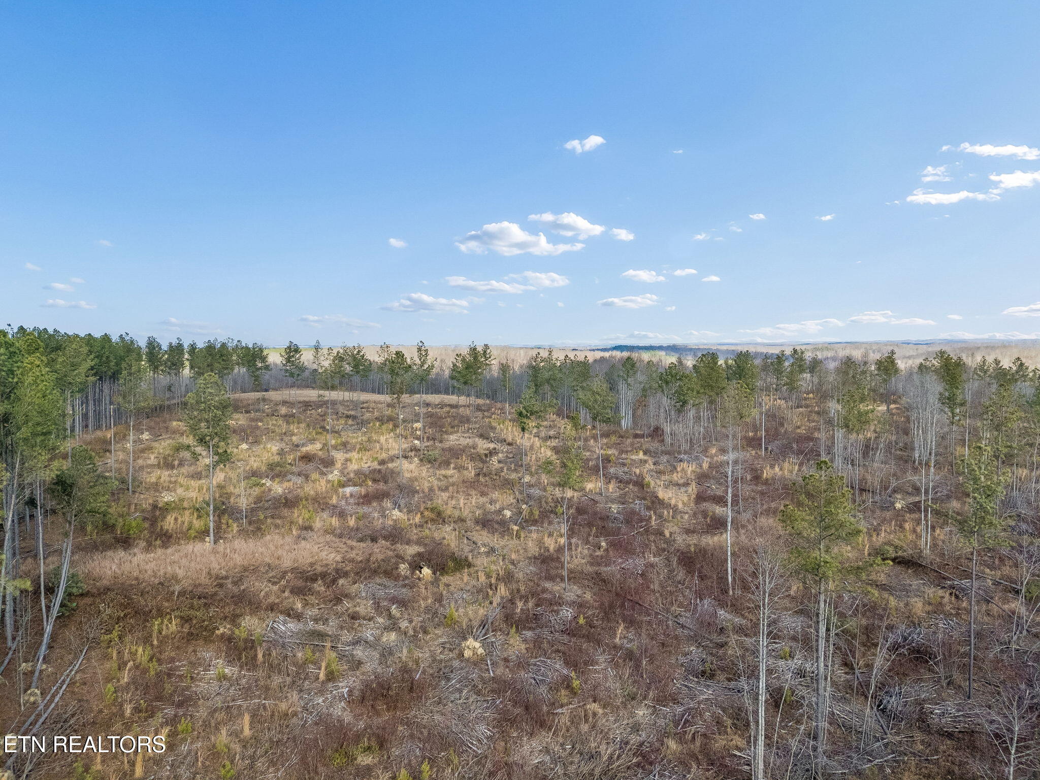 Huffman Road Sunbright, TN 37872 - Photo 41 of 44 32-Grassy Mountain - 032