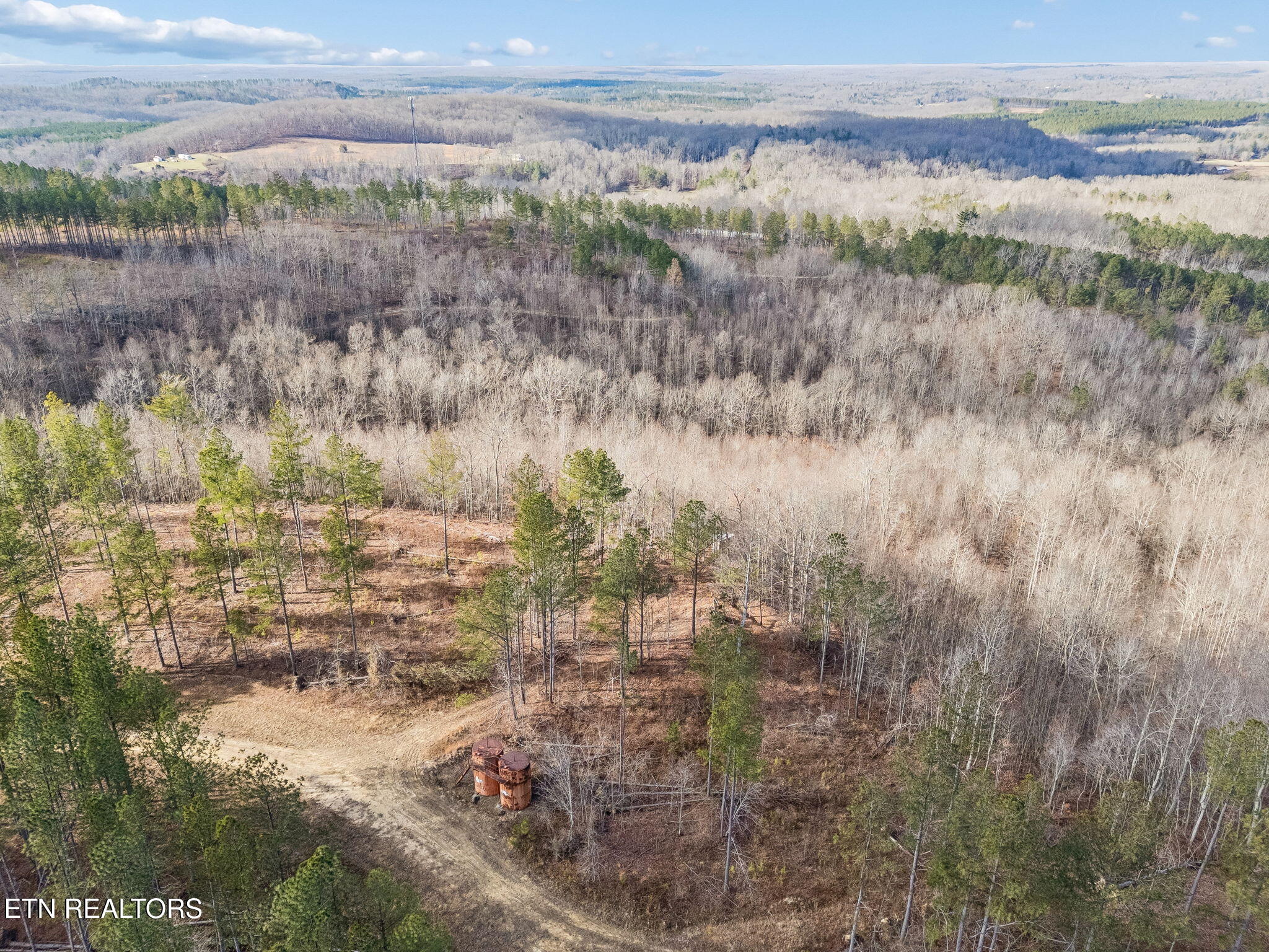 Huffman Road Sunbright, TN 37872 - Photo 42 of 44 33-Grassy Mountain - 033