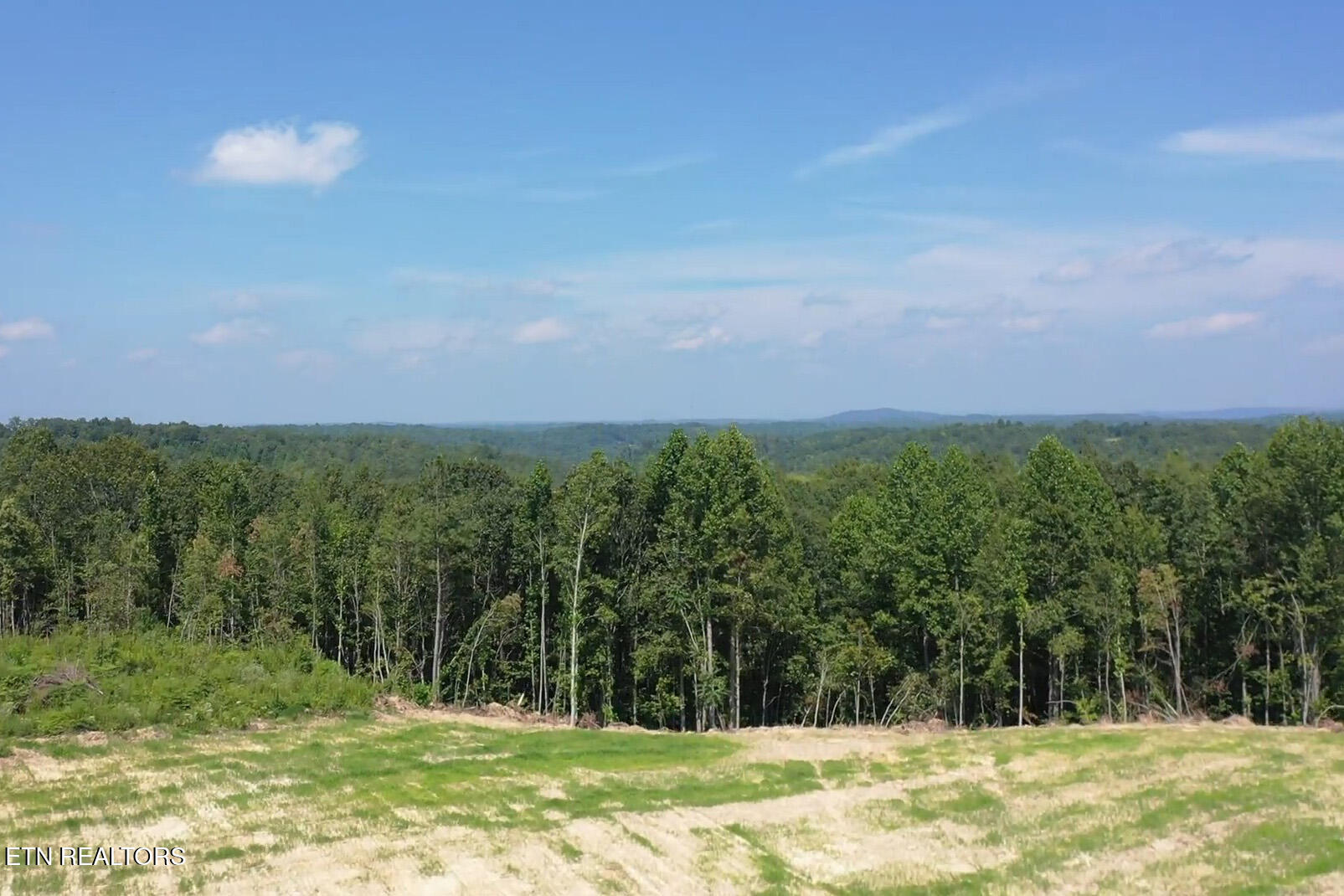 Davis Road Sunbright, TN 37872 - Photo 5 of 11 Tract 8 GM (6) copy