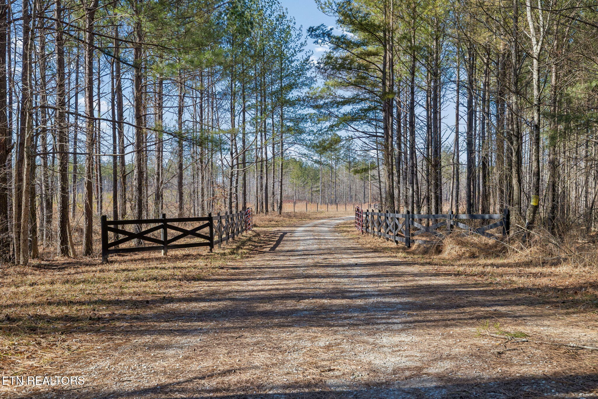Huffman Road Sunbright, TN 37872 - Photo 6 of 44 5-Grassy Mountain - 005