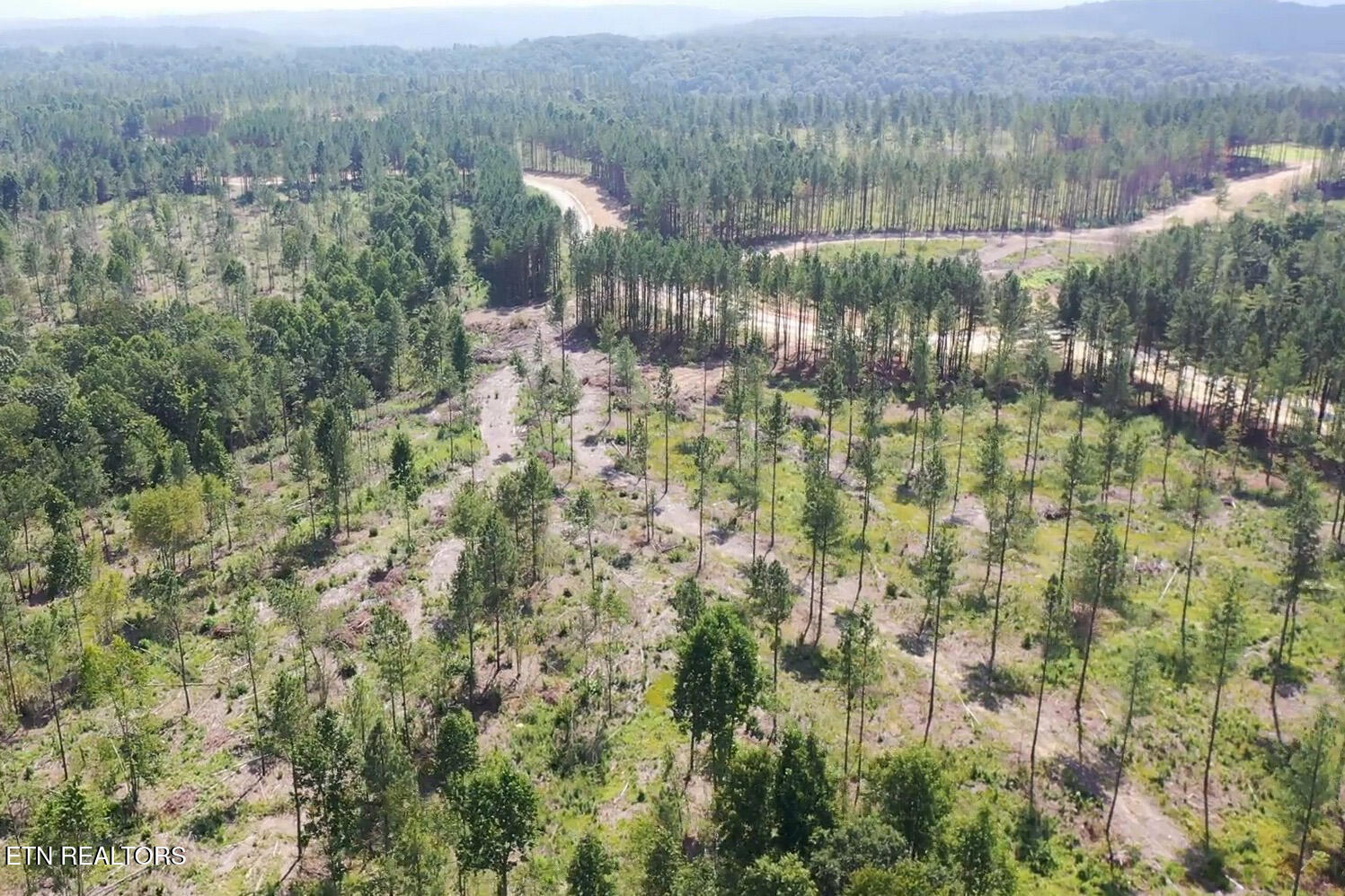 Davis Road Sunbright, TN 37872 - Photo 7 of 11 Tract 8 GM (8) copy