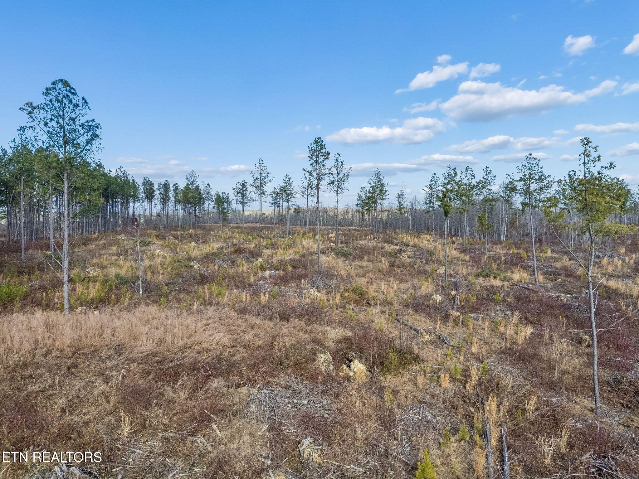 Huffman Road Sunbright, TN 37872 - Photo 7 of 44 6-Grassy Mountain - 006