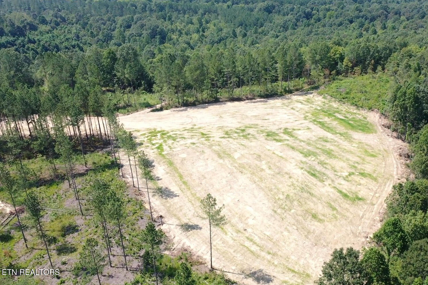 Davis Road Sunbright, TN 37872 - Photo 8 of 11 Tract 8 GM (9) copy