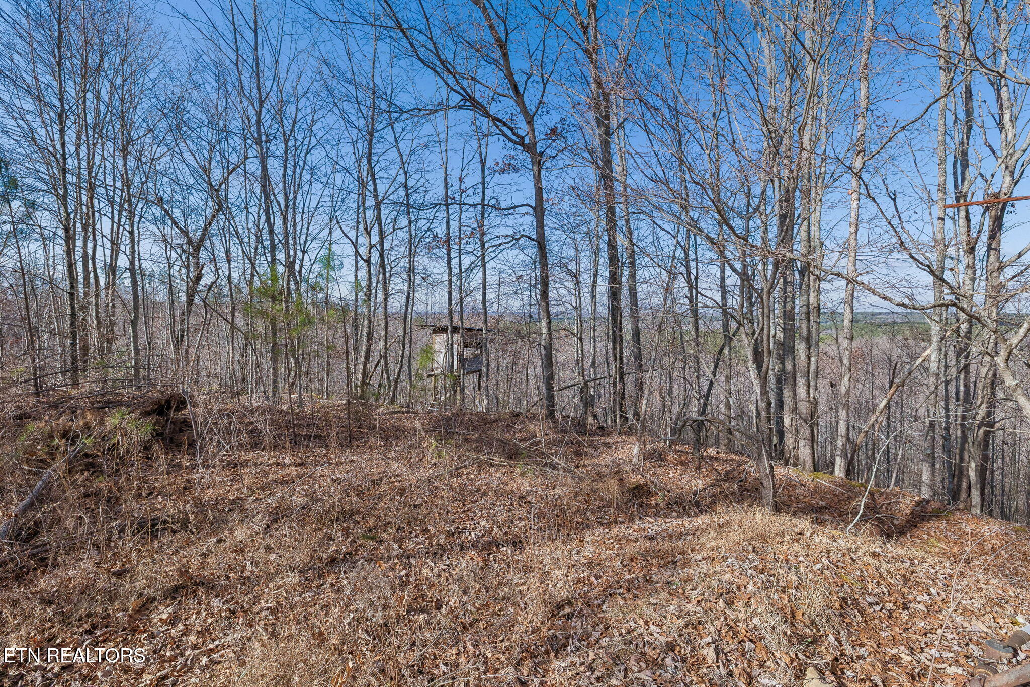Huffman Road Sunbright, TN 37872 - Photo 9 of 44 10-Grassy Mountain - 010
