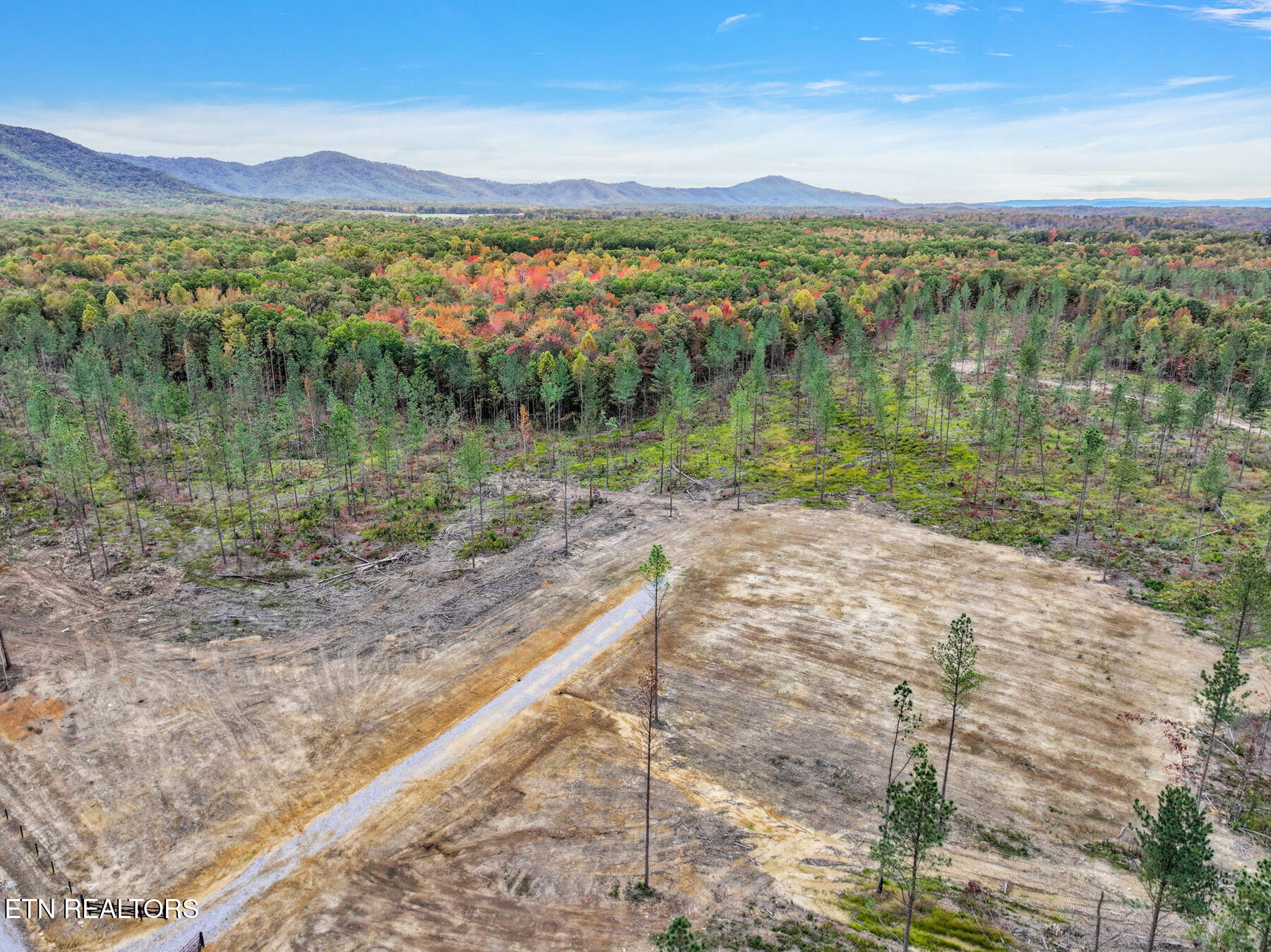 Huffman Road Sunbright, TN 37872 - Photo 10 of 44 13-GrassyMountain_20231017164603_0400_D