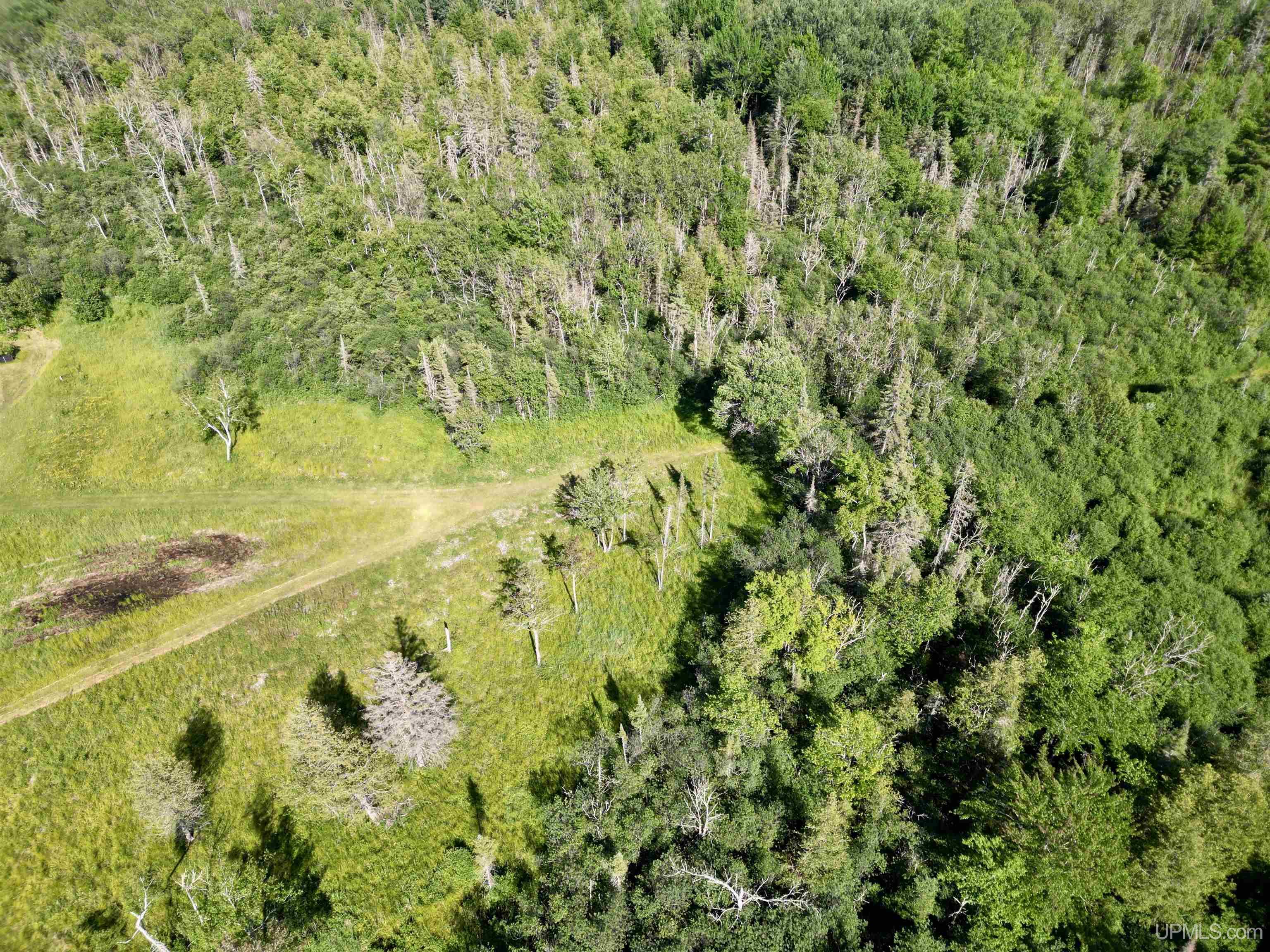 8357 School 16 Road Rapid River, MI 49878 - Photo 41 of 47