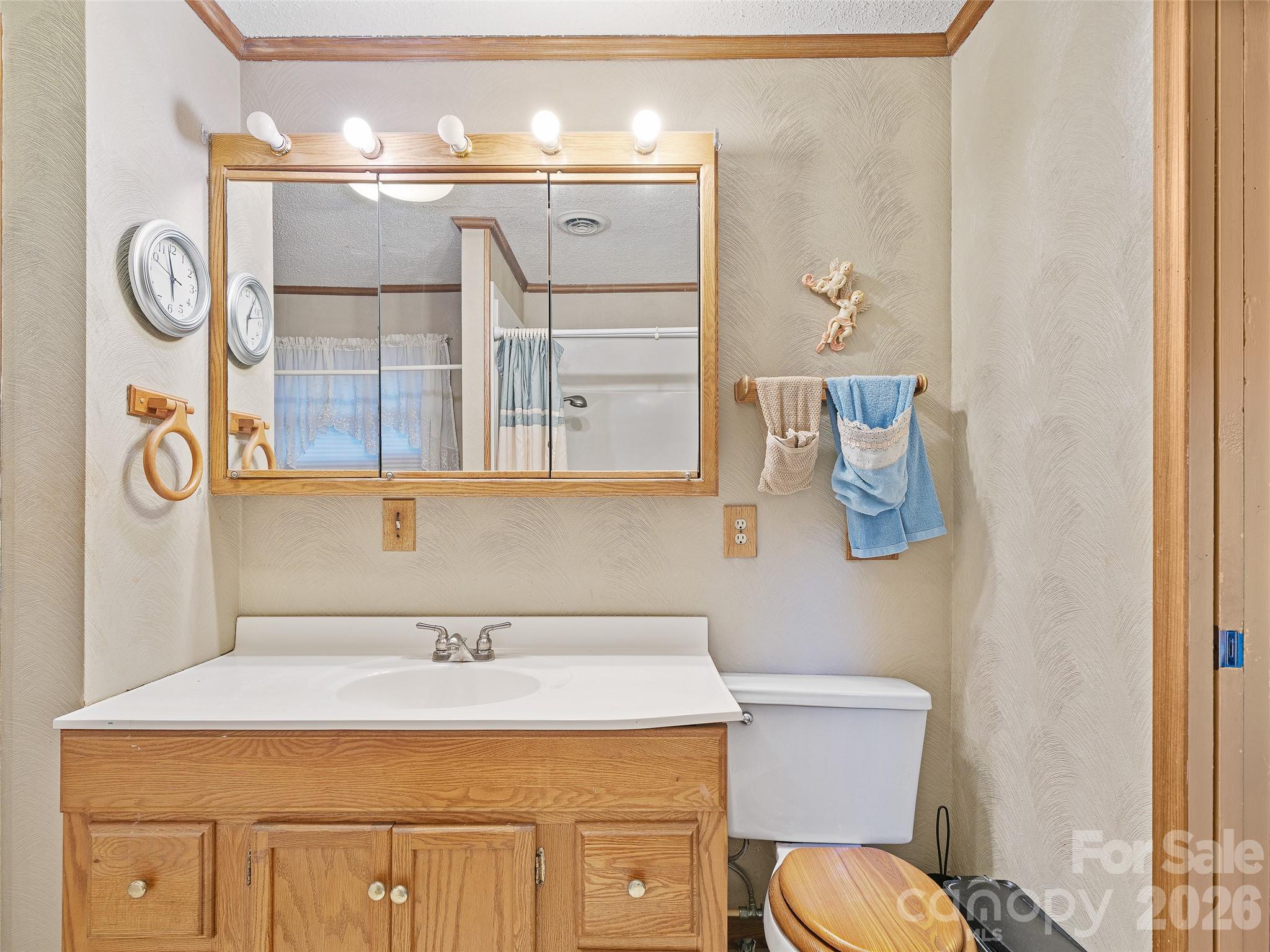 1280 Hamburg Road Bakersville, NC 28705 - Photo 18 of 28 a bathroom with a sink and a toilet