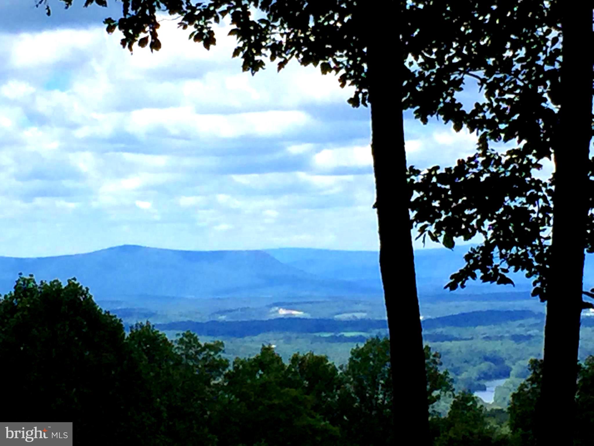 1460 High Top Road Linden, VA 22642 - Photo 4 of 30 Gallery Image 4