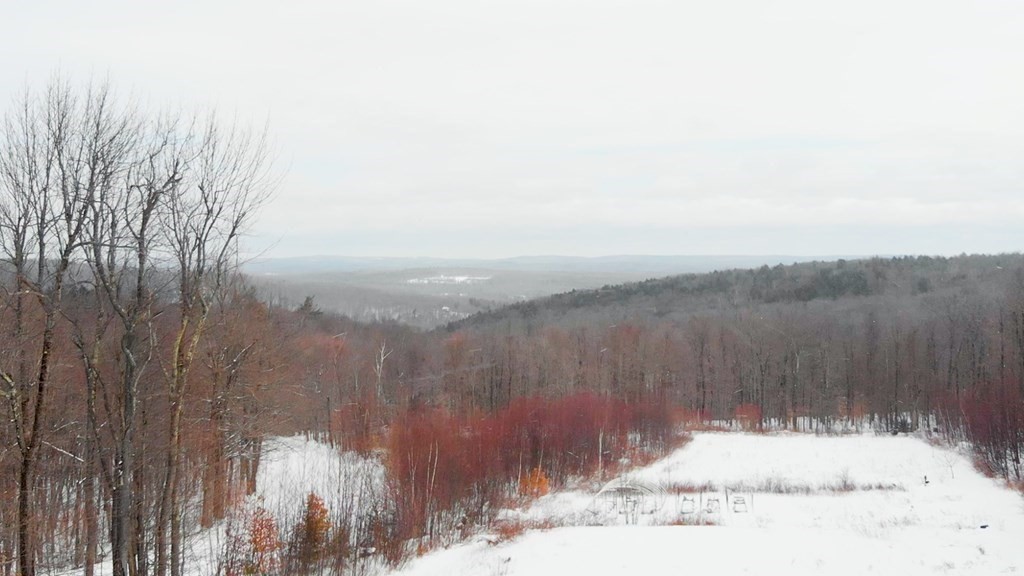 479 Old North Road Worthington, MA 01098 - Photo 31 of 40 Gallery Image 31