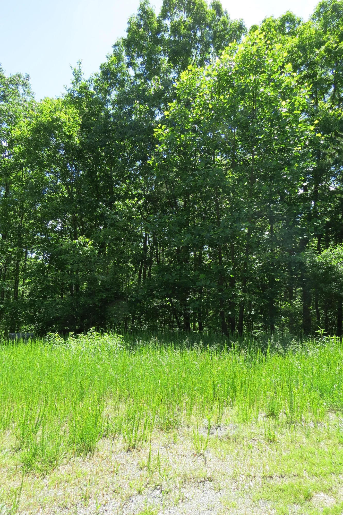 0 Chester Drive Rising Fawn, GA 30738 - Photo 3 of 6 Lot