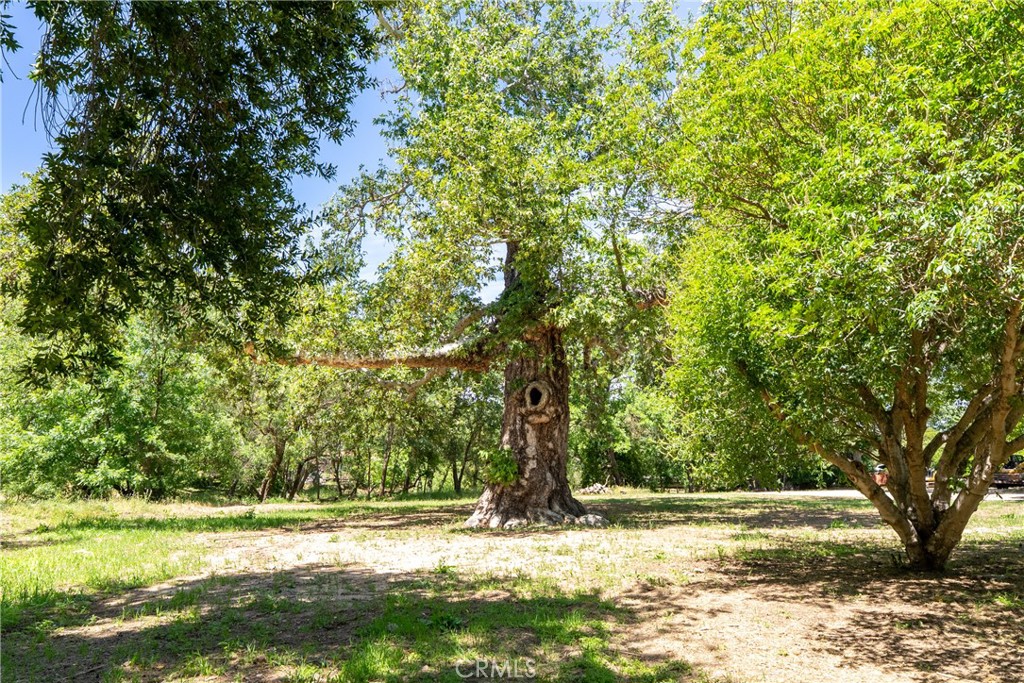 7900 Portola Road Atascadero, CA 93422 - Photo 57 of 68