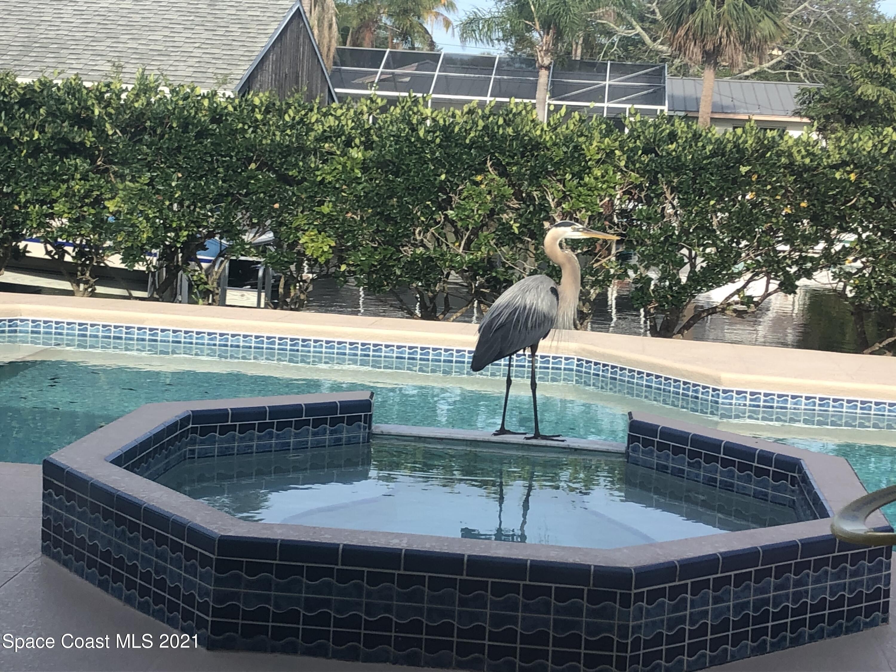 931 Bali Road Cocoa Beach, FL 32931 - Photo 35 of 42 931 - Crane