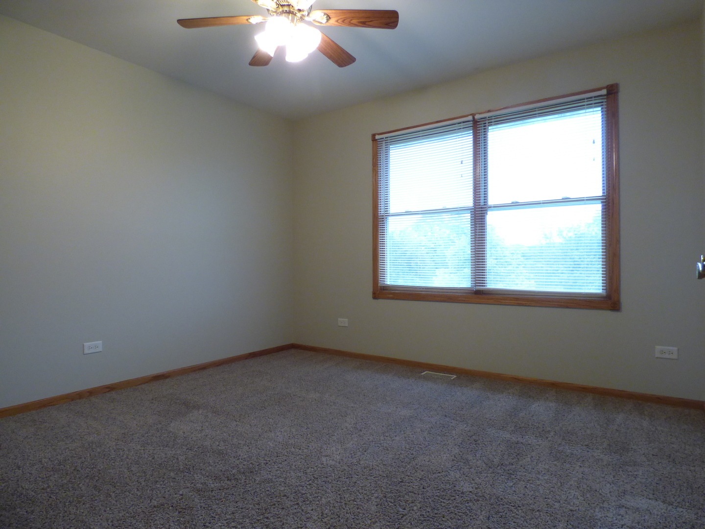 703 Suzanne Court Spring Grove, IL 60081 - Photo 13 of 15