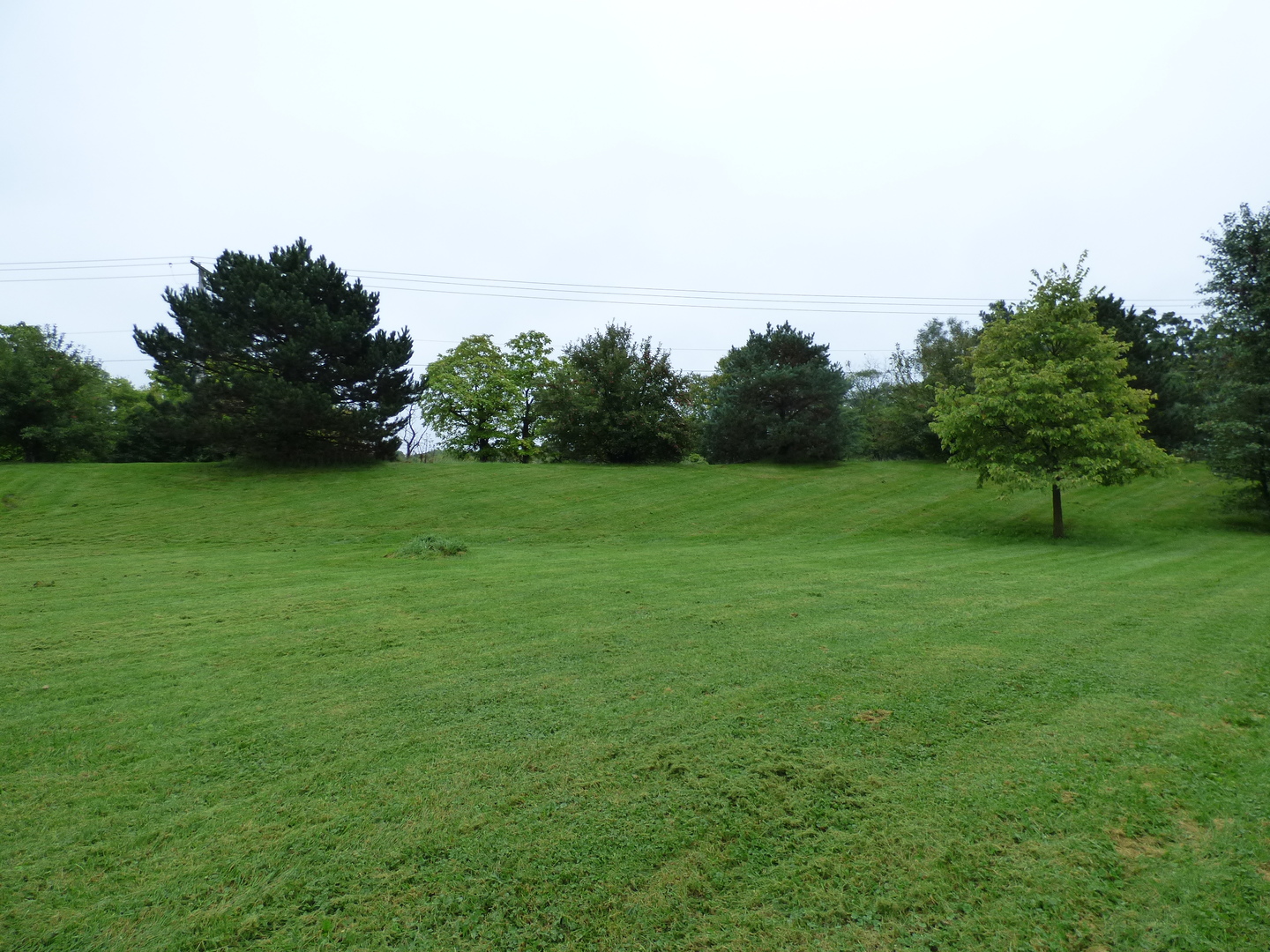 703 Suzanne Court Spring Grove, IL 60081 - Photo 15 of 15