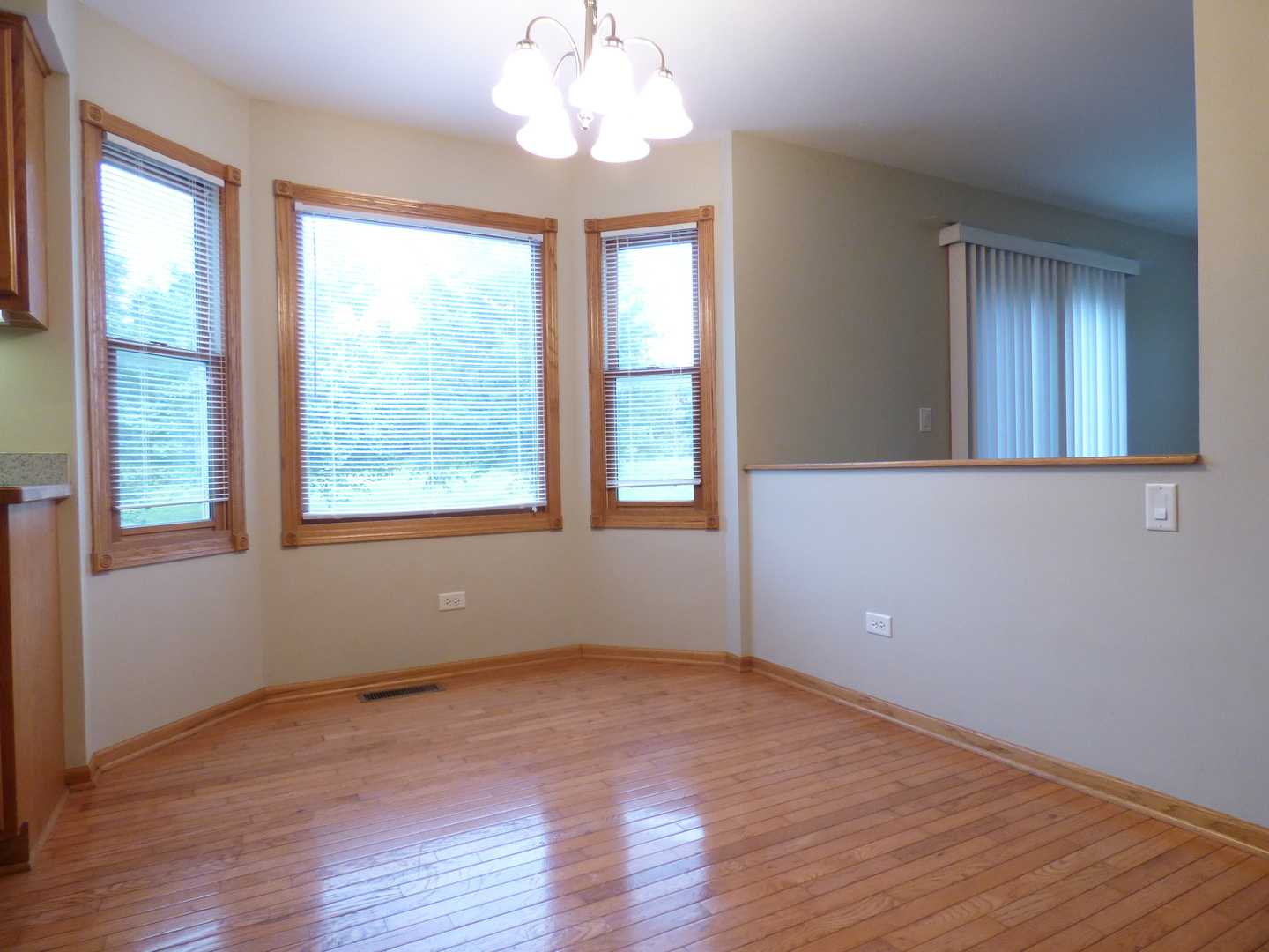 703 Suzanne Court Spring Grove, IL 60081 - Photo 5 of 15