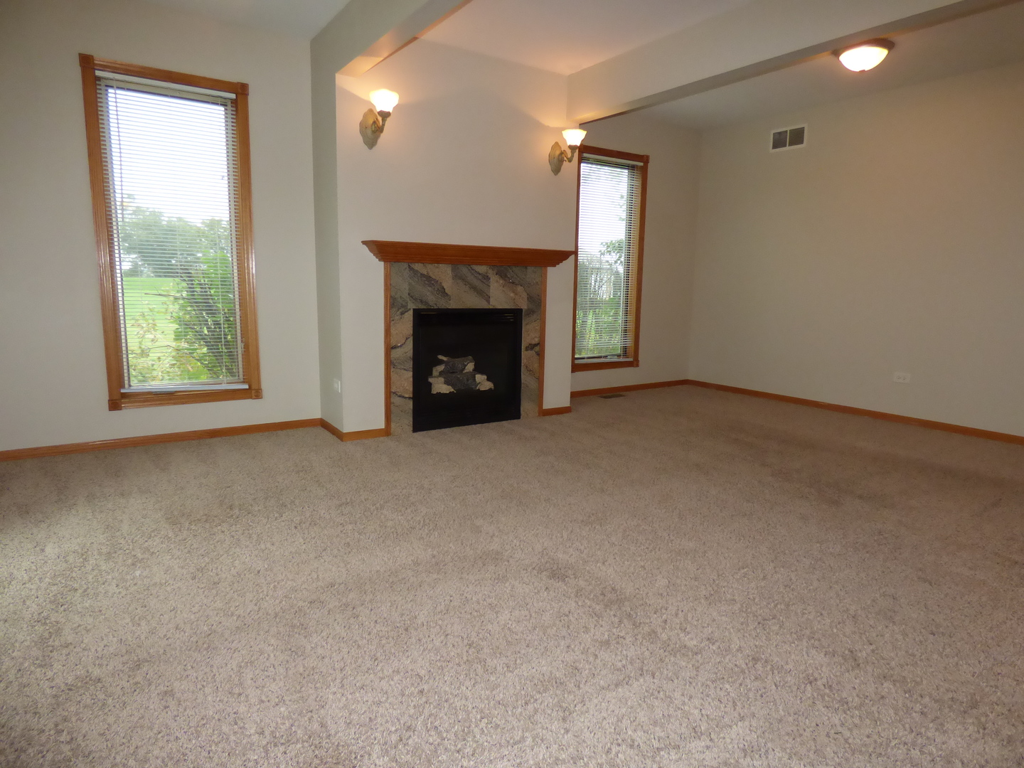 703 Suzanne Court Spring Grove, IL 60081 - Photo 6 of 15