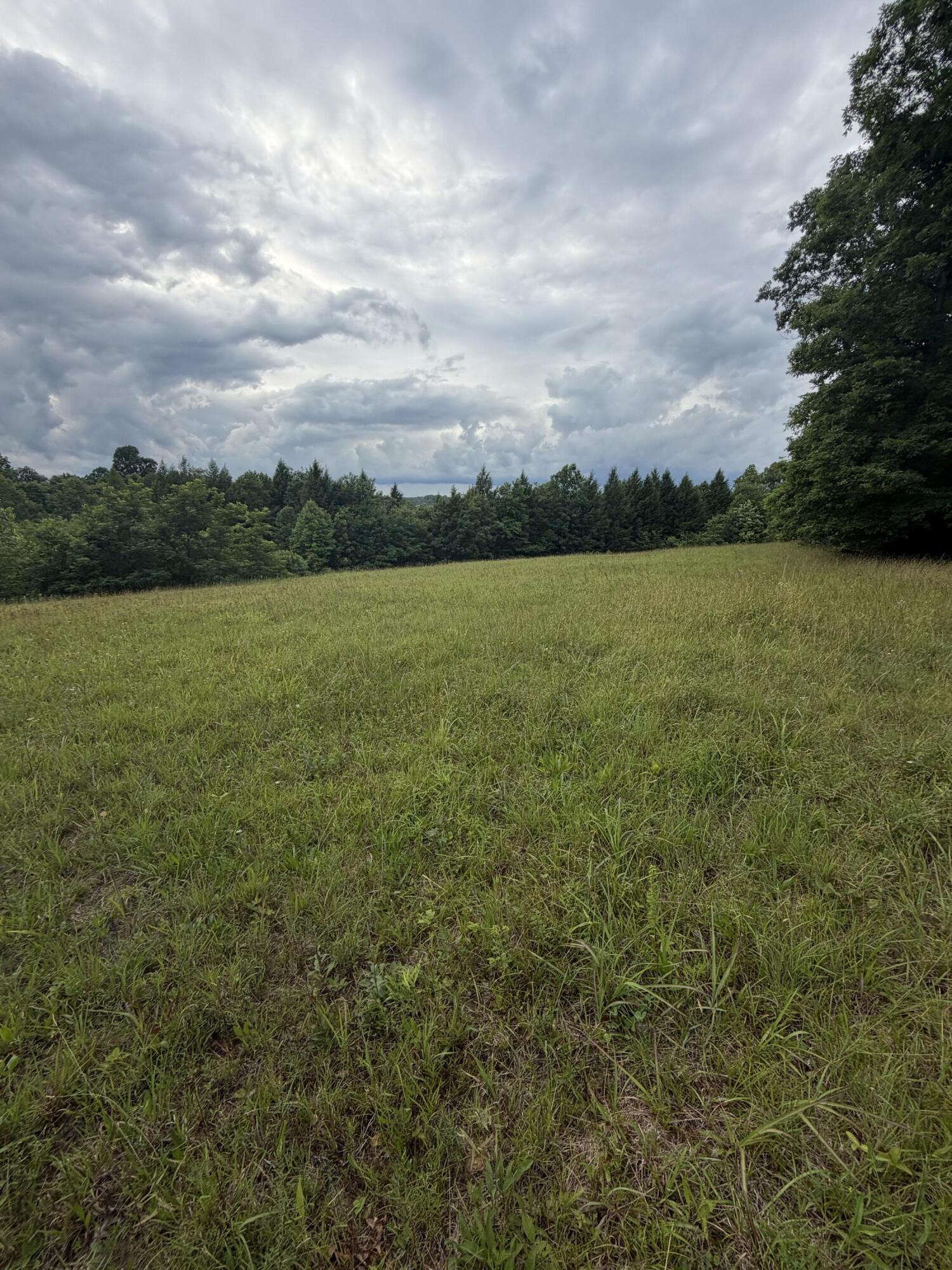 0 Mathis Road McKee, KY 40447 - Photo 27 of 39 IMG_2247