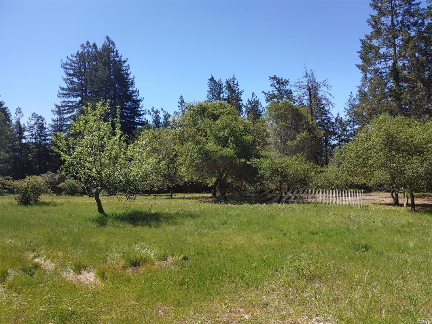 1440 Jonive Road Sebastopol, CA 95472 - Photo 1 of 1 a view of green field with trees in the background