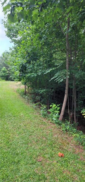 E-15 Jocassee Ridge Way Salem, SC 29676 - Photo 3 of 3