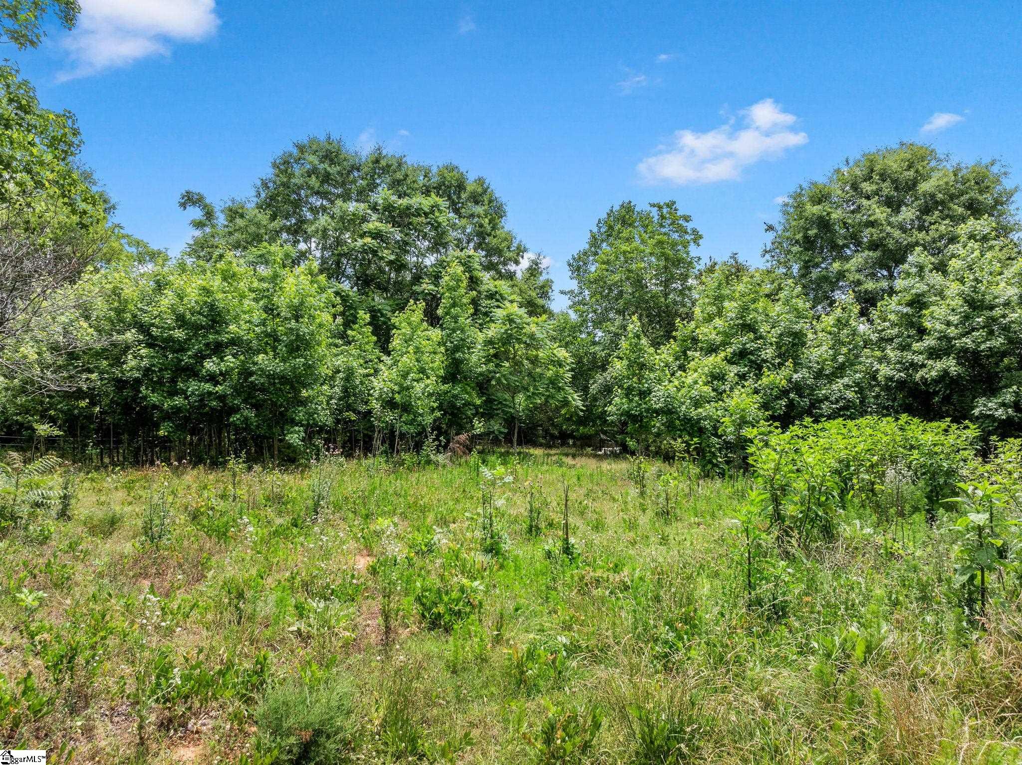 3410 Airline Road Anderson, SC 29624 - Photo 47 of 49