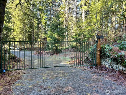 a view of a yard with large trees