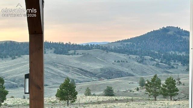 8591 Black Beaver Road Hartsel, CO 80449 - Photo 44 of 48 Gallery Image 44
