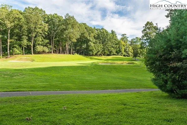 a view of a park with large trees
