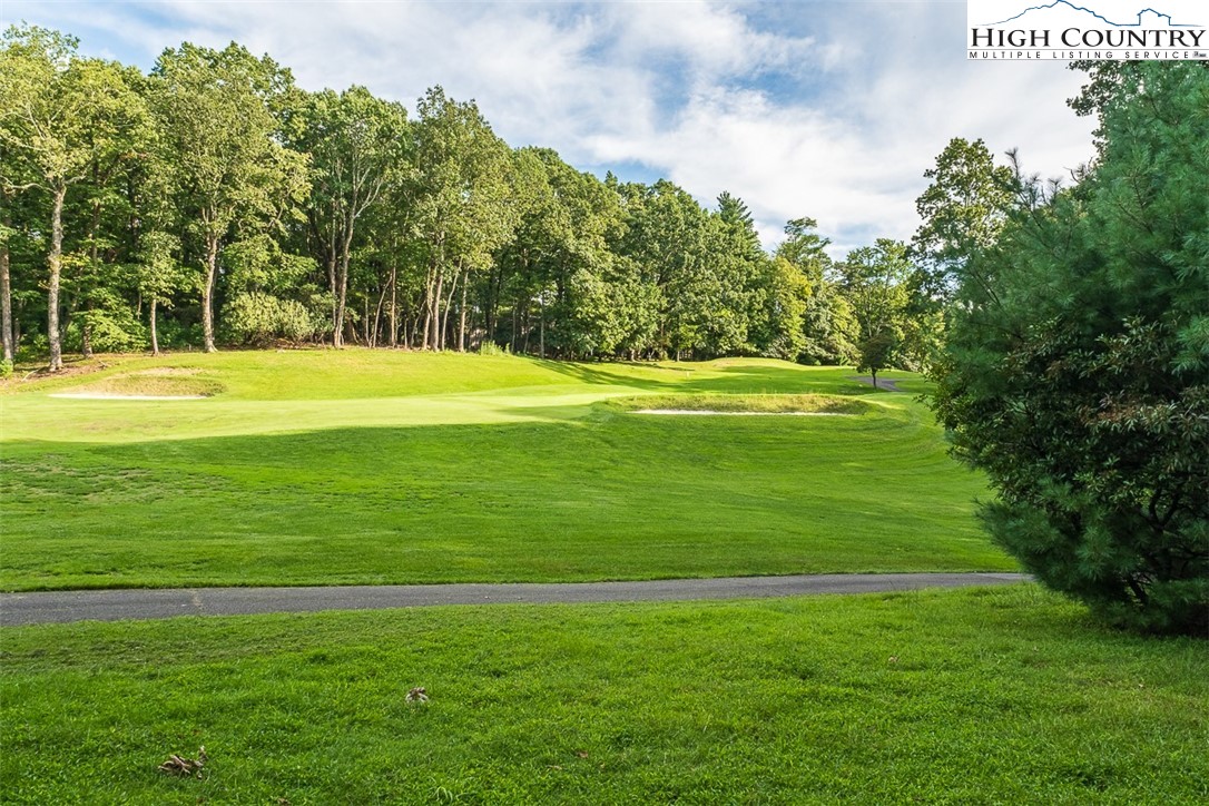 377 Deer Run Road Glade Valley, NC 28627 - Photo 4 of 26 a view of a park with large trees